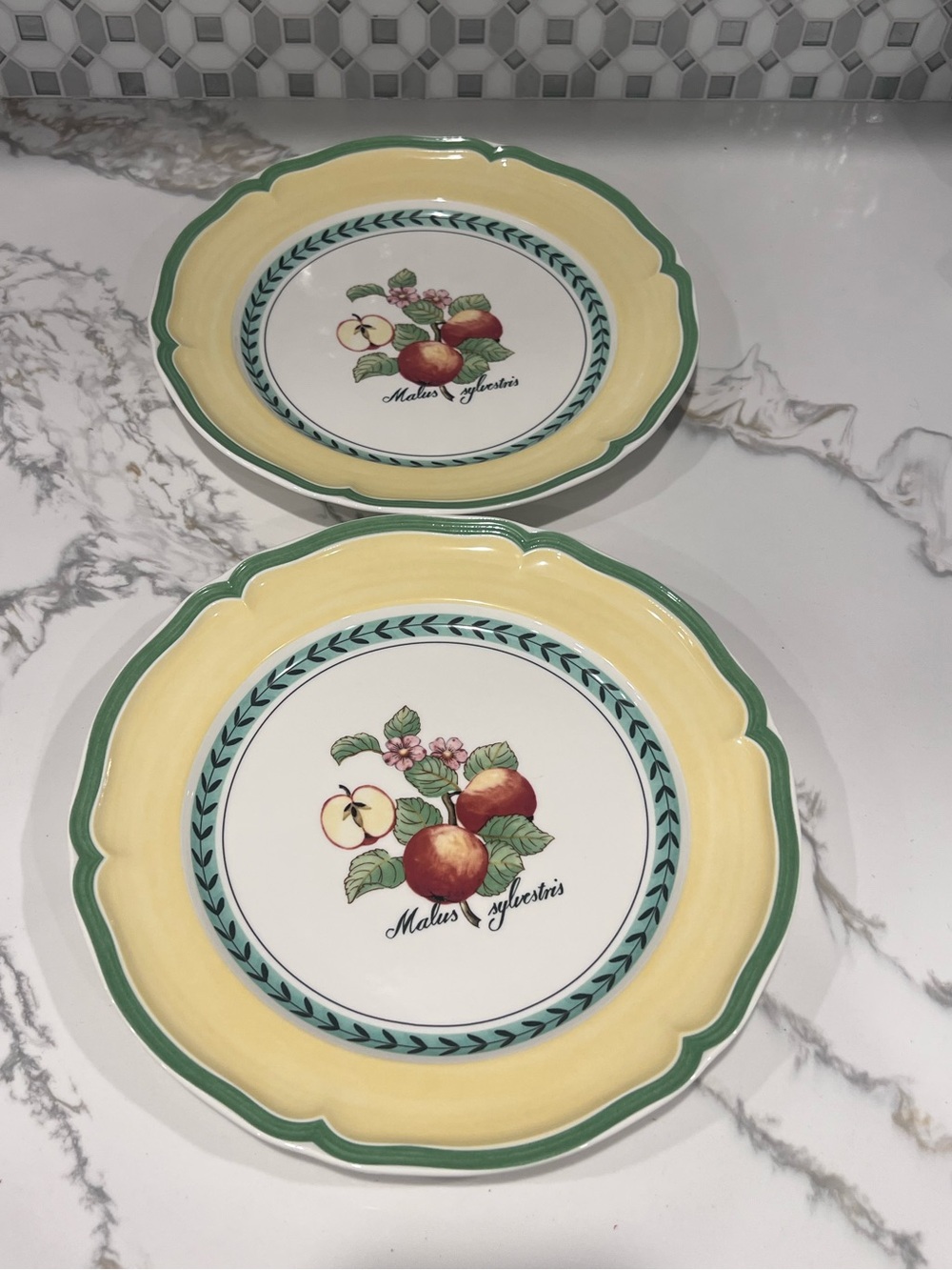 2 Villeroy & Boch French Garden Apple Valence 10.5" Dinner Plates